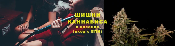 бошки Надым