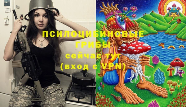 бошки Надым