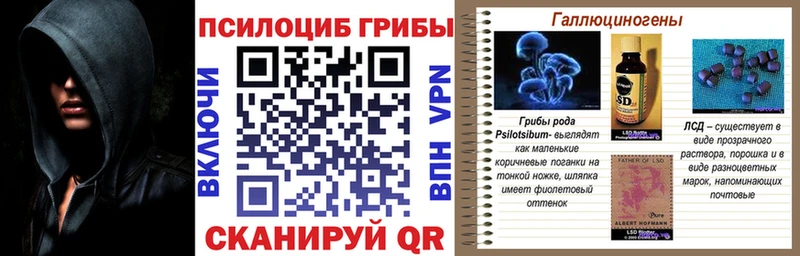 Купить закладки  Кыштым  Псилоцибиновые грибы Psilocybe 