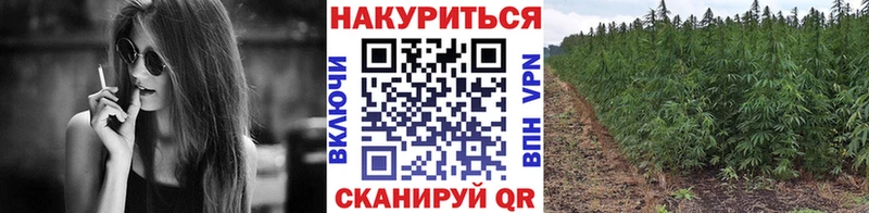 Марихуана индика  Купить закладки  Кыштым 